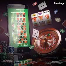 Adults only responsible gaming message for Lucky Rooster on bet 977